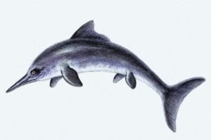 Dolphin Extinction Is Possible - Ancient Dolphin-like Ichthyosaurs Wiped Out Once Before_0